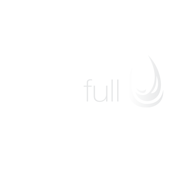 Link to our partner - Glassfull.org
