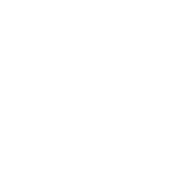 Link to our partner - Limitless Employment